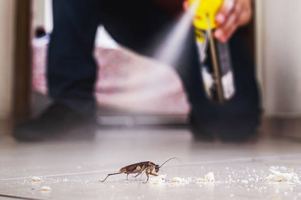 Best Best Pest Control Companies  in Guymon, OK